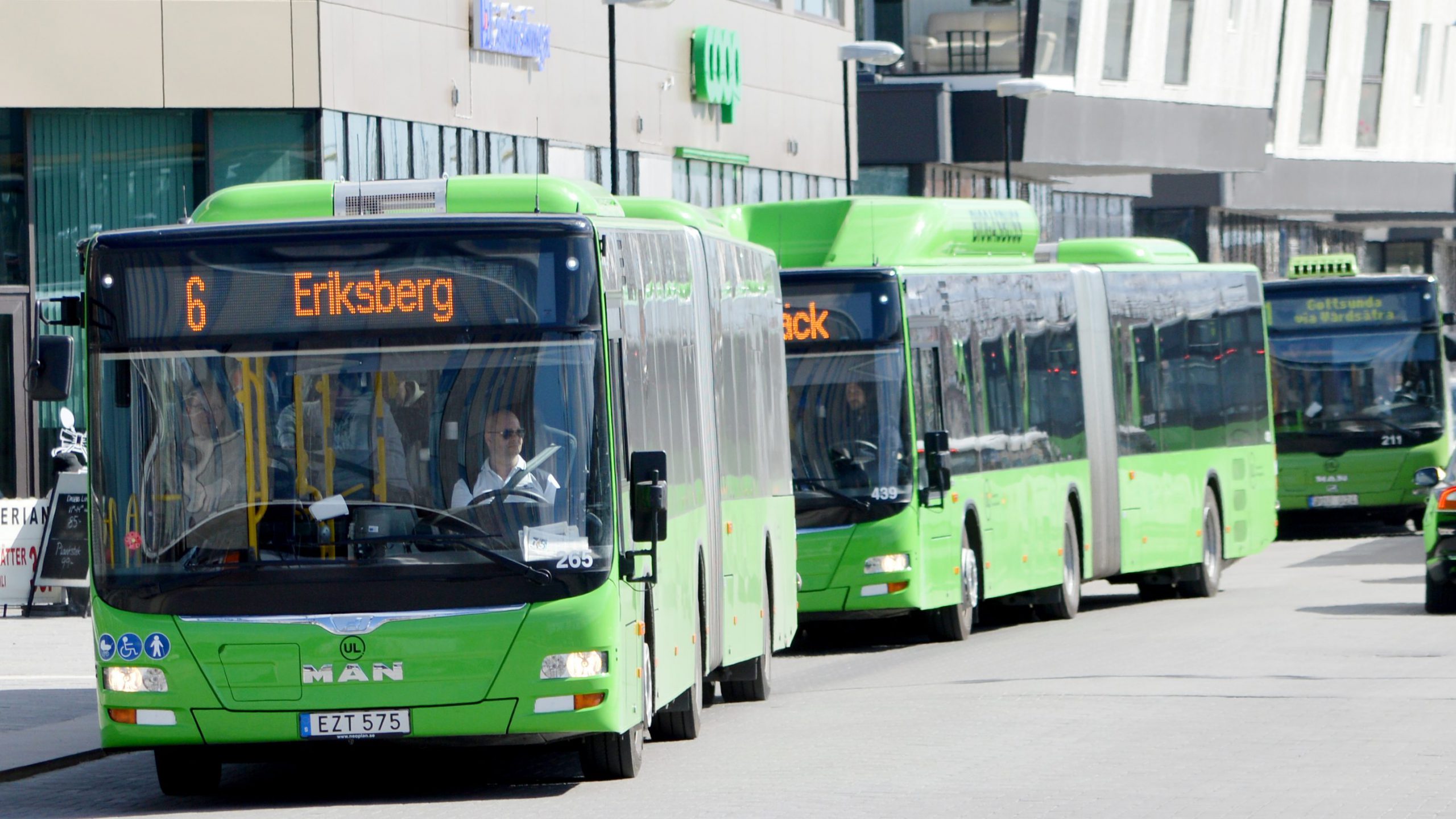 Busstrafik med miljövänliga gröna (och gula) bussar.